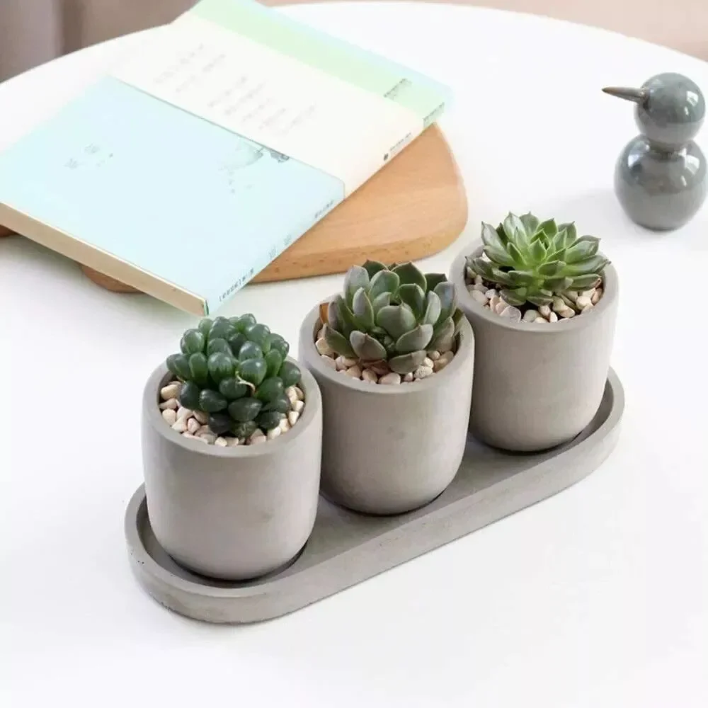 Set of 3 Succulent Planters 2.9